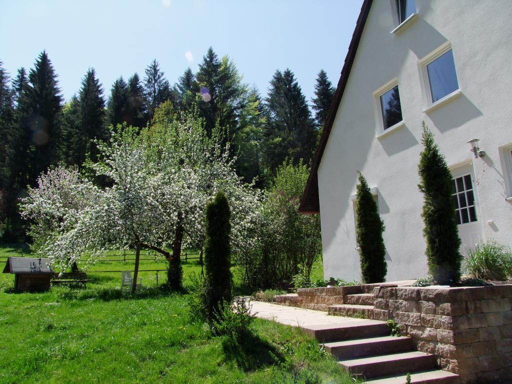 Wonderworld Apartment Alfdorf Exterior photo
